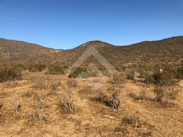 Agrícola en Venta en EL PEÑON