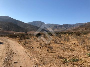 Agrícola en Venta en EL PEÑON