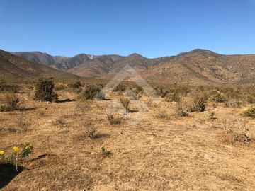 Agrícola en Venta en EL PEÑON