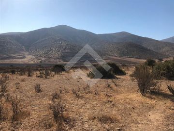 Agrícola en Venta en EL PEÑON