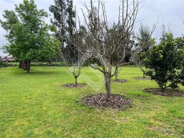 Casa en Venta en Lonquen Sur