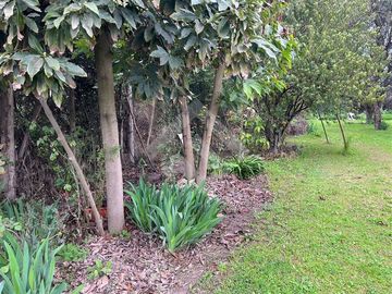 Casa en Venta en Lonquen Sur