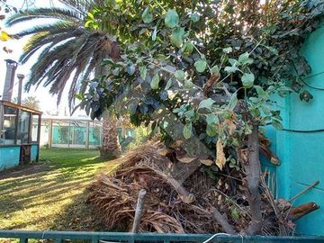 Casa en Venta en Píncipe de Gales Monseñor Edwards