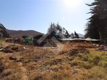 Casa en Venta en Bellavista