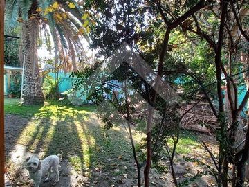 Local Comercial en Venta en Píncipe de Gales Monseñor Edwards
