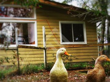 Casa en Venta en camino Pedregoso