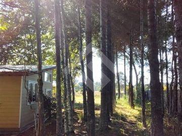 Parcela en Venta en camino Pedregoso