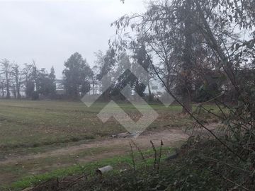 Industrial en Venta en Panamericana 5 Sur Km 42