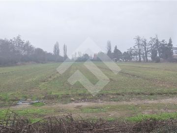 Industrial en Venta en Panamericana 5 Sur Km 42