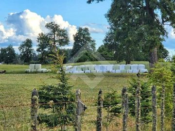 Parcela en Venta en RANCO NATIVO LA UNION