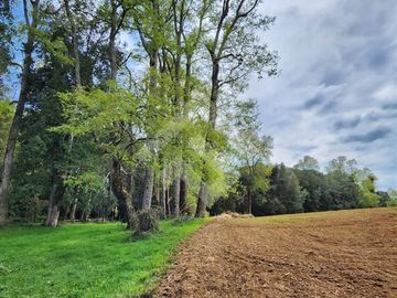 Parcela en Venta en RANCO NATIVO LA UNION