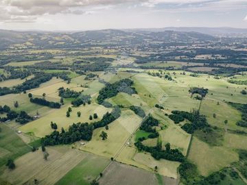 Parcela en Venta en RANCO NATIVO LA UNION