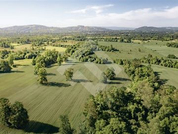 Parcela en Venta en RANCO NATIVO LA UNION