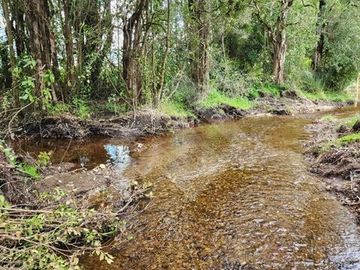 Parcela en Venta en RANCO NATIVO LA UNION