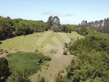 Sitio en Venta en pargua ruta V-972