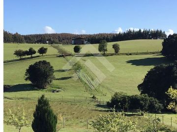 Sitio en Venta en a 7 kms desde La Unión ruta t80 camino a Hueicolla Sur Oeste de la Unión