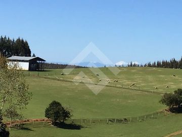 Parcela en Venta en a 7 kms desde La Unión ruta t80 camino a Hueicolla Sur Oeste de la Unión