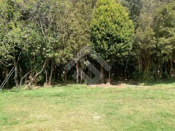 Casa en Venta en Condominio troncos milenarios,la vara