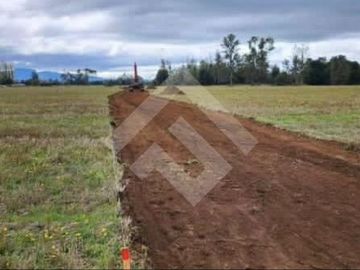 Parcela en Venta en Choroico, Tronlico