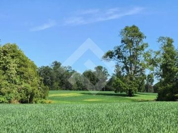 Terreno Construccion  en Venta en Choroico, Tronlico