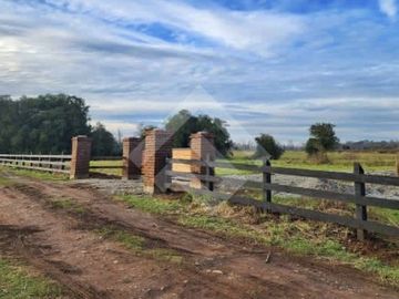 Terreno Construccion  en Venta en Choroico, Tronlico