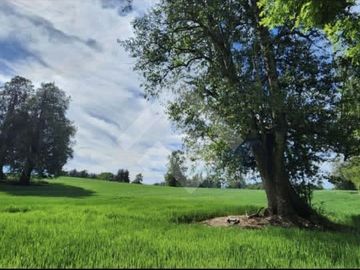 Terreno Construccion  en Venta en Choroico, Tronlico