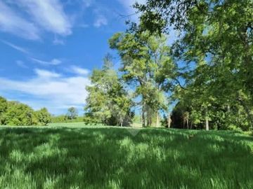 Terreno Construccion  en Venta en Choroico, Tronlico