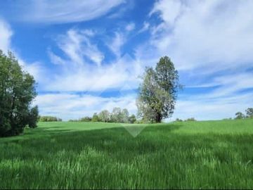 Terreno Construccion  en Venta en Choroico, Tronlico
