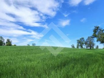 Terreno Construccion  en Venta en Choroico, Tronlico