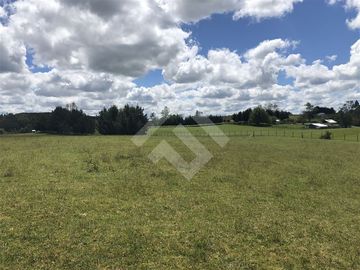 Sitio en Venta en Hijuela N° 4, Lote 1 comuna de Purranque
