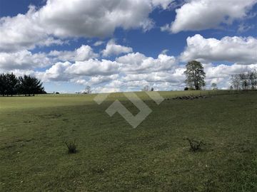 Sitio en Venta en Hijuela N° 4, Lote 1 comuna de Purranque