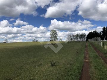 Sitio en Venta en Hijuela N° 4, Lote 1 comuna de Purranque