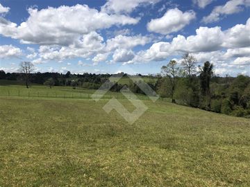 Sitio en Venta en Hijuela N° 4, Lote 1 comuna de Purranque