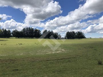 Sitio en Venta en Hijuela N° 4, Lote 1 comuna de Purranque