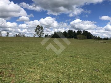 Sitio en Venta en Hijuela N° 4, Lote 1 comuna de Purranque