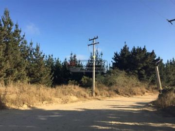 Industrial en Arriendo en Reñaca Alto