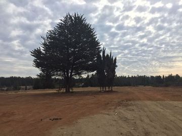 Industrial en Arriendo en Camino Internacional