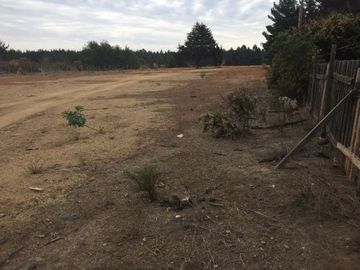 Industrial en Arriendo en Camino Internacional