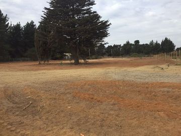 Industrial en Arriendo en Camino Internacional