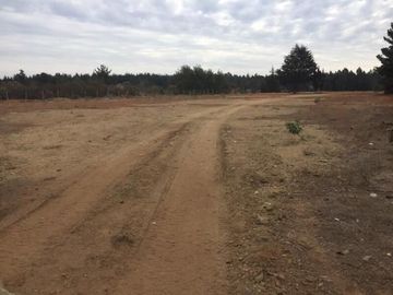 Industrial en Arriendo en Camino Internacional