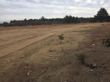 Industrial en Arriendo en Camino Internacional