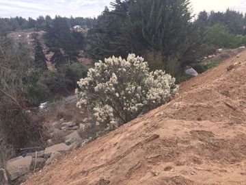 Terreno Construccion  en Arriendo en Camino Internacional