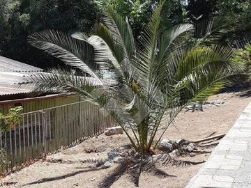Casa en Venta en Av. Los Pajaritos
