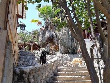 Casa en Venta en Av. Los Pajaritos