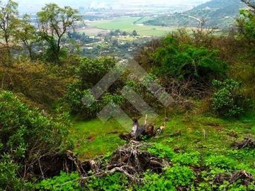 Parcela en Venta en La aurora