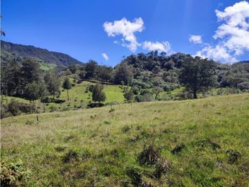 vendo finca en Sonsón Antioquia, aguas cristalinas, bosques, aire puro