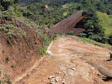 vendo finca en Sonsón Antioquia, aguas cristalinas, bosques, aire puro