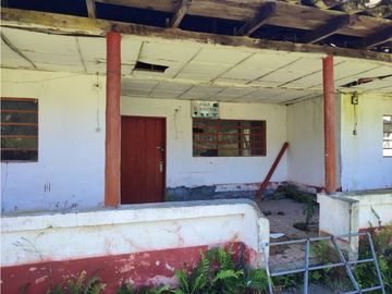 vendo finca en Sonsón Antioquia, aguas cristalinas, bosques, aire puro