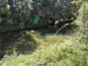 vendo finca en Sonsón Antioquia, aguas cristalinas, bosques, aire puro