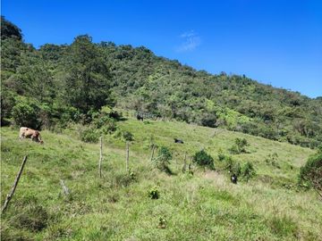 vendo finca en Sonsón Antioquia, aguas cristalinas, bosques, aire puro